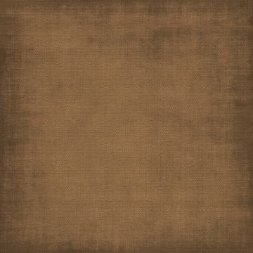 Linen Napkin Set