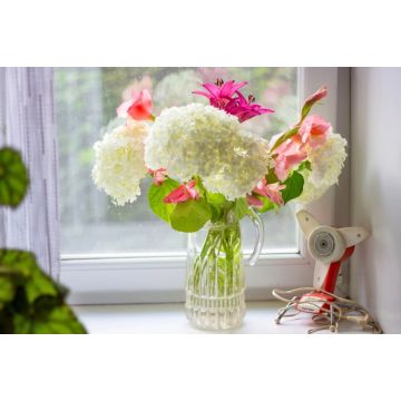 Amber Glass Vase